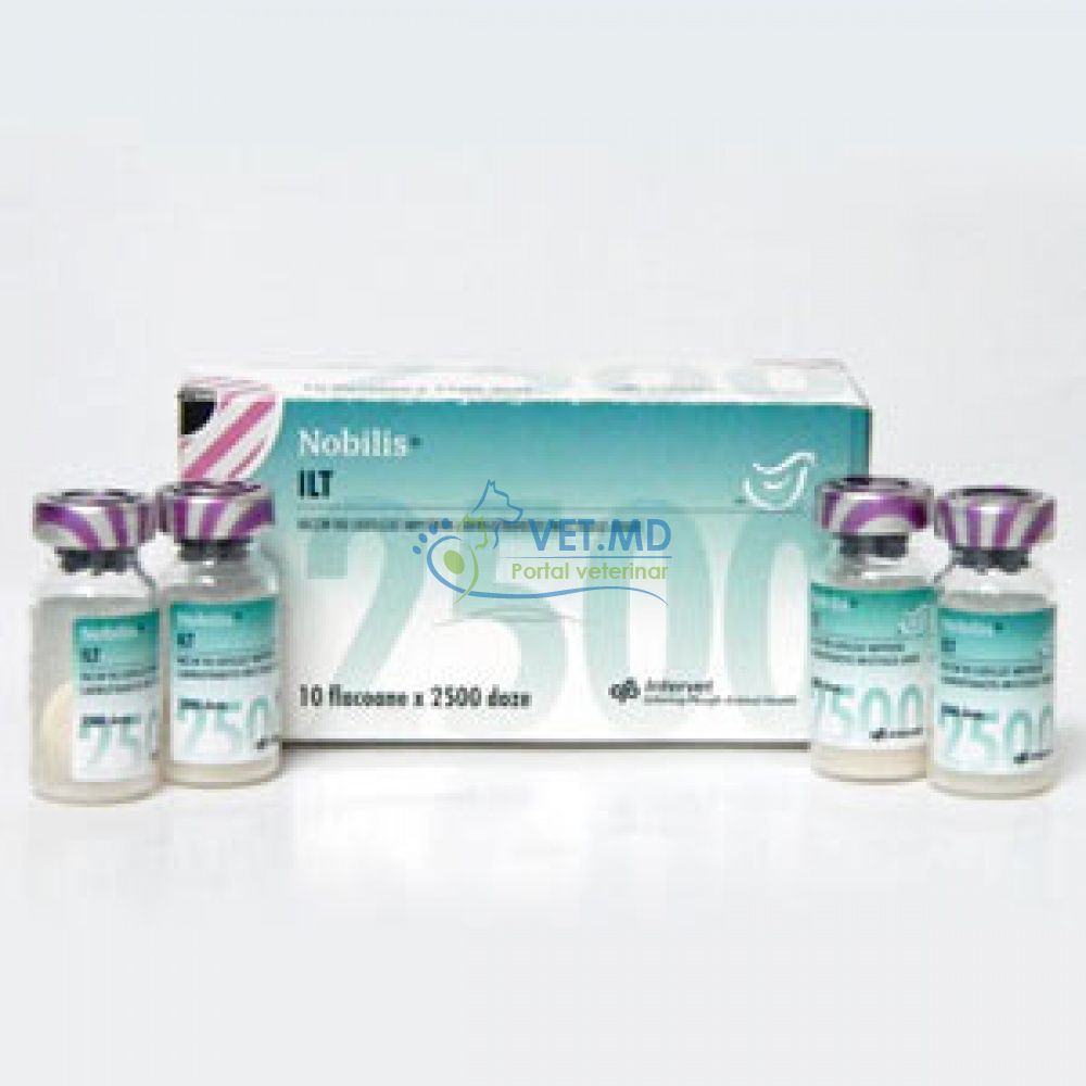 Vaccin - Nobilis ILT ,2500 doze